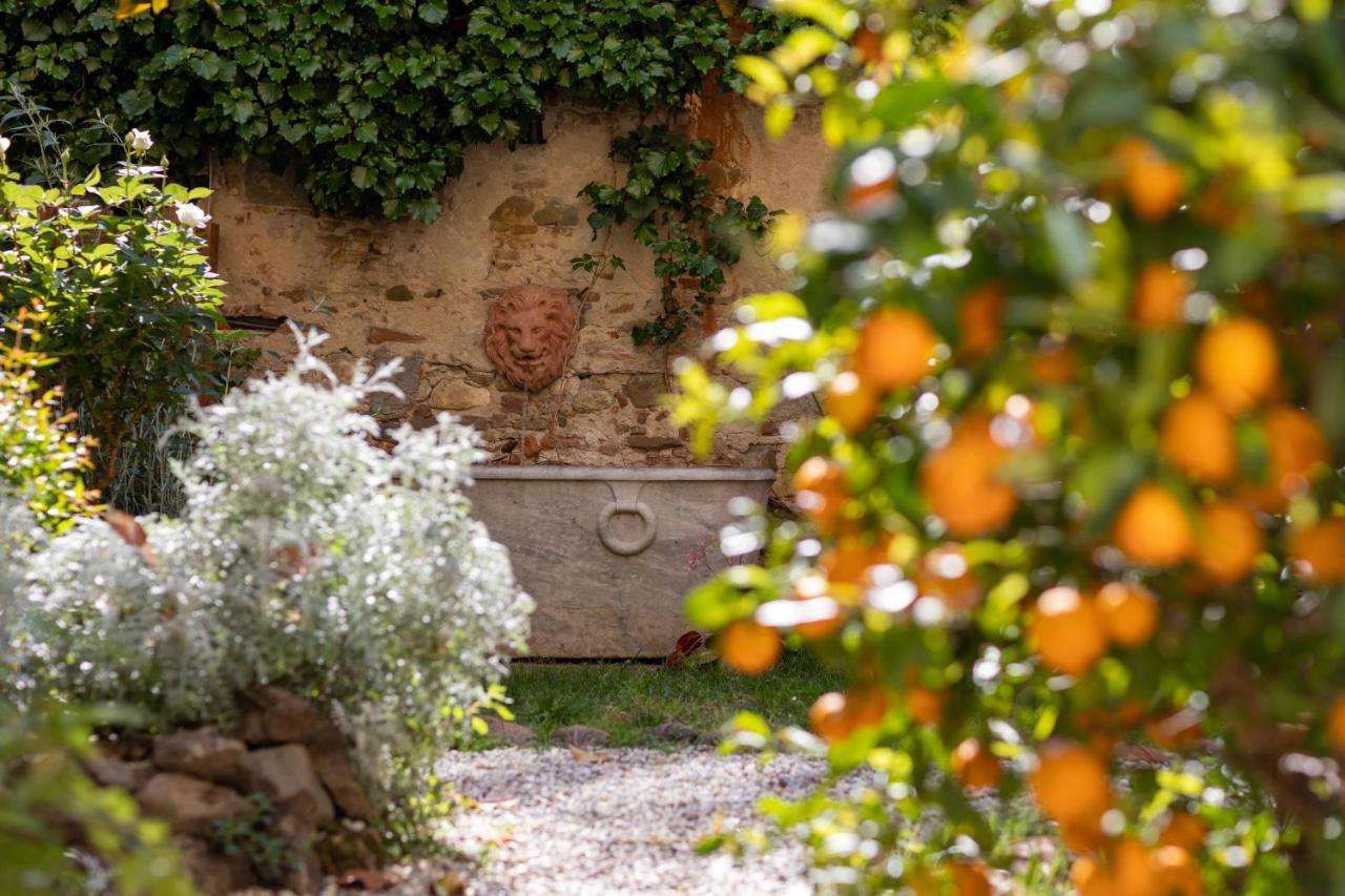 Secret Garden Firenze B&B Exteriér fotografie