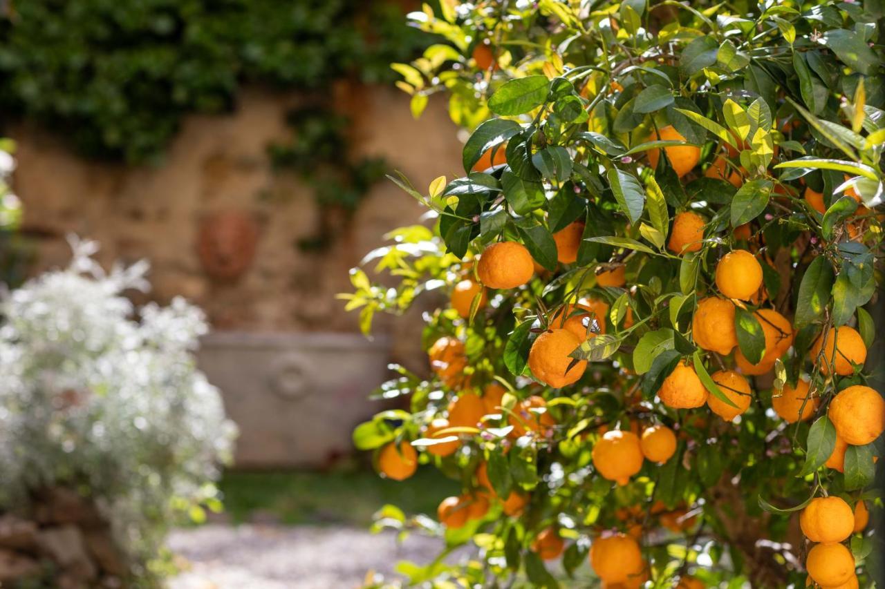 Secret Garden Firenze B&B Exteriér fotografie