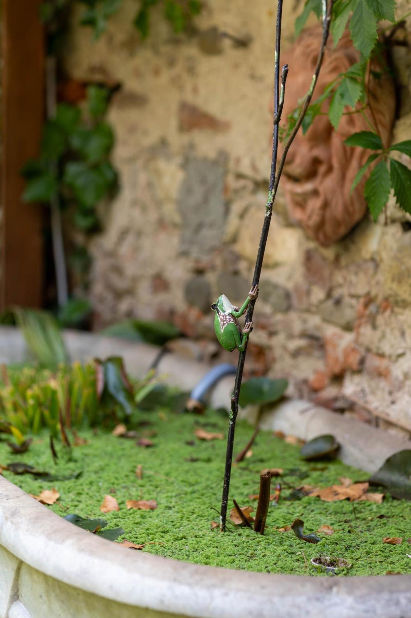 Secret Garden Firenze B&B Exteriér fotografie