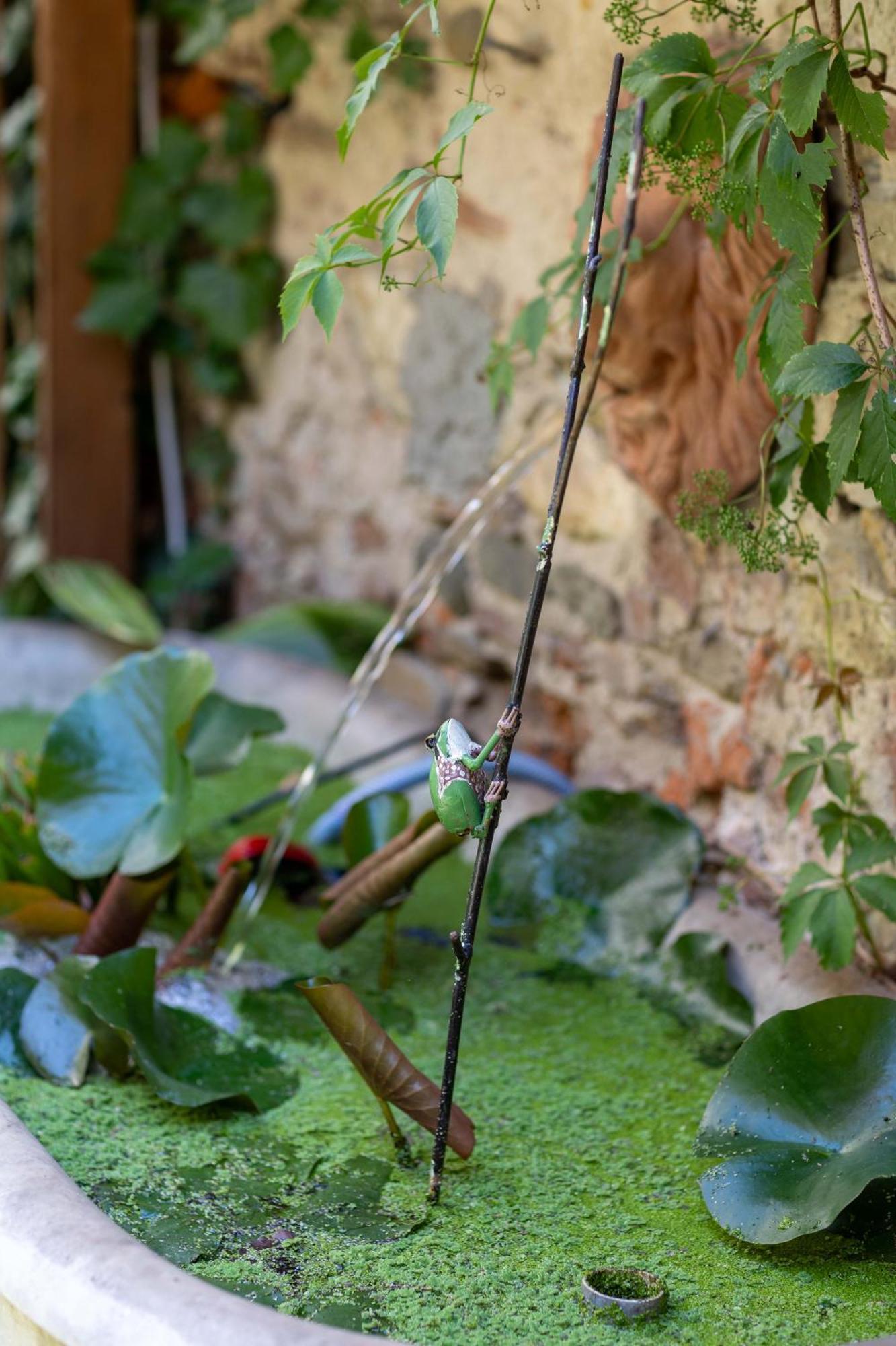 Secret Garden Firenze B&B Exteriér fotografie